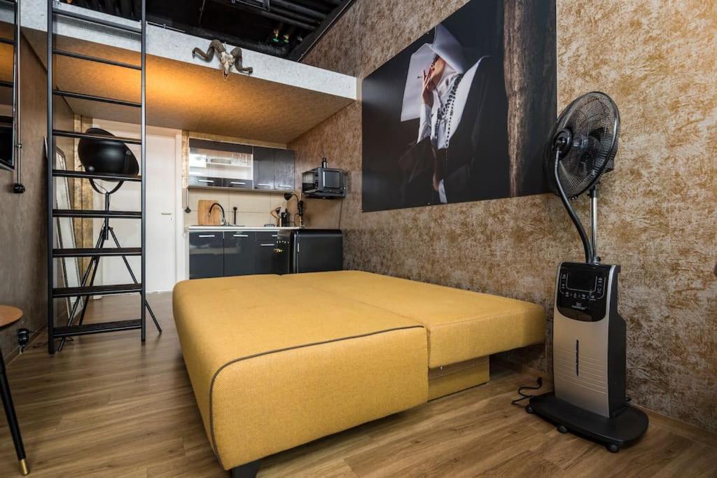 Апартаменти Dresden Loft An Der Elbe Екстер'єр фото